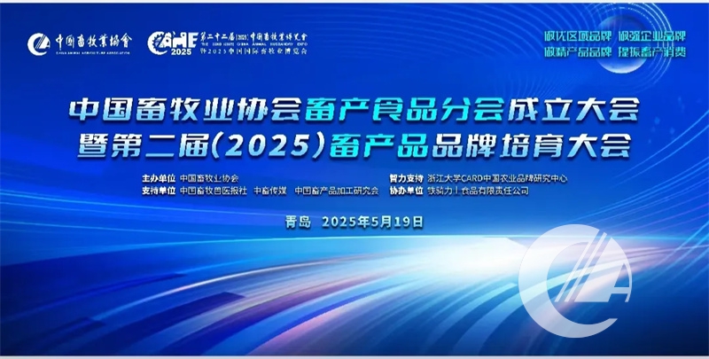 1277�Ǽʵ���(�й���)�ٷ���Ϸ��ַ