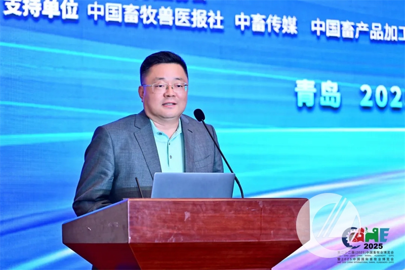 1277�Ǽʵ���(�й���)�ٷ���Ϸ��ַ