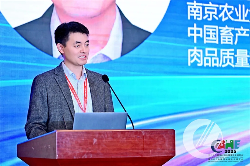 1277�Ǽʵ���(�й���)�ٷ���Ϸ��ַ