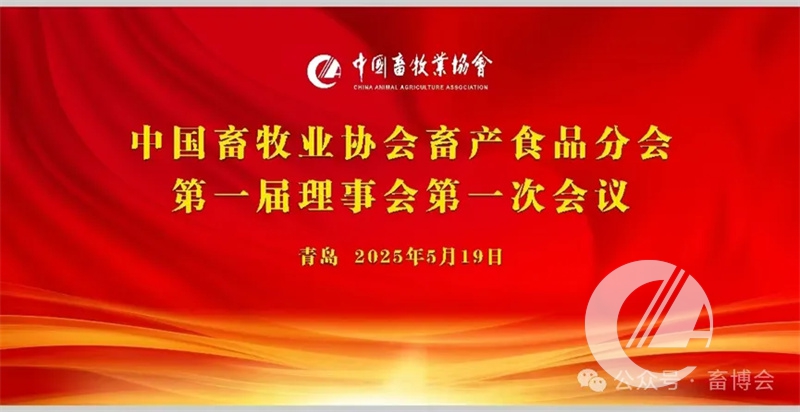 1277�Ǽʵ���(�й���)�ٷ���Ϸ��ַ