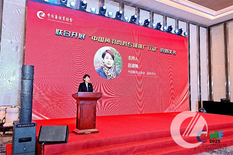 1277�Ǽʵ���(�й���)�ٷ���Ϸ��ַ