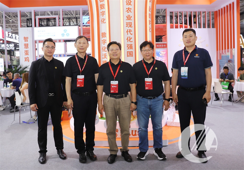 1277�Ǽʵ���(�й���)�ٷ���Ϸ��ַ