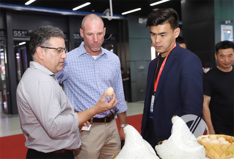 1277�Ǽʵ���(�й���)�ٷ���Ϸ��ַ