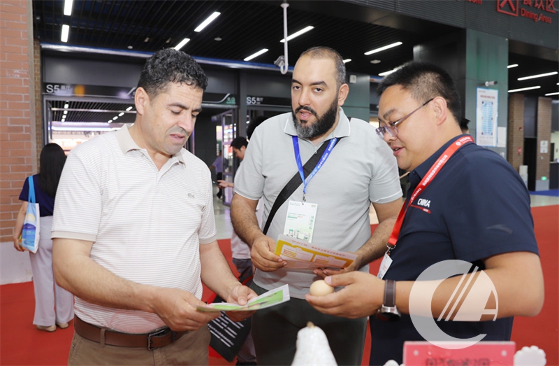 1277�Ǽʵ���(�й���)�ٷ���Ϸ��ַ