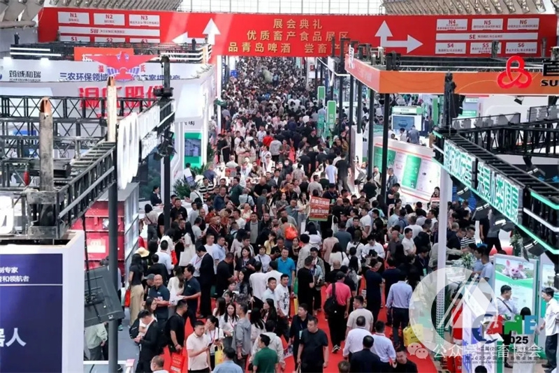 1277�Ǽʵ���(�й���)�ٷ���Ϸ��ַ