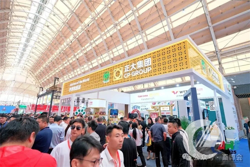 1277�Ǽʵ���(�й���)�ٷ���Ϸ��ַ