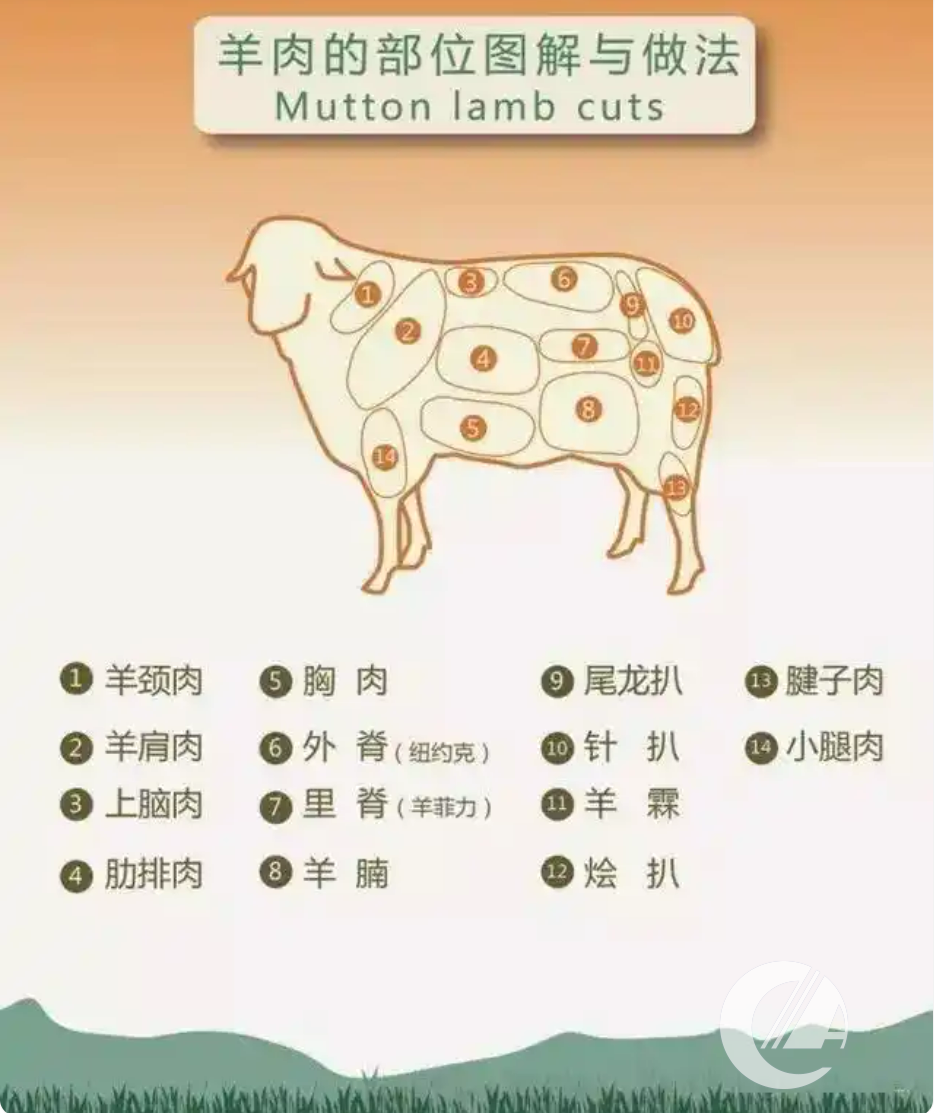 1277�Ǽʵ���(�й���)�ٷ���Ϸ��ַ