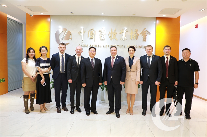 1277�Ǽʵ���(�й���)�ٷ���Ϸ��ַ