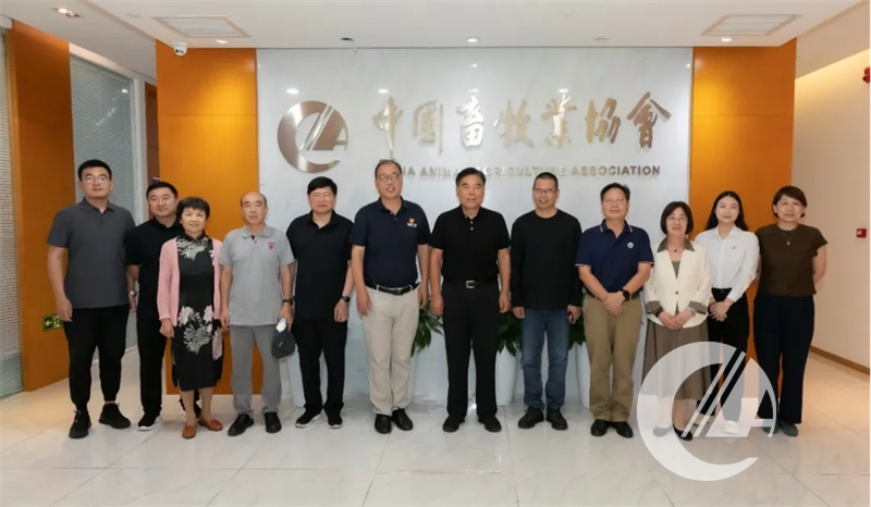 1277�Ǽʵ���(�й���)�ٷ���Ϸ��ַ