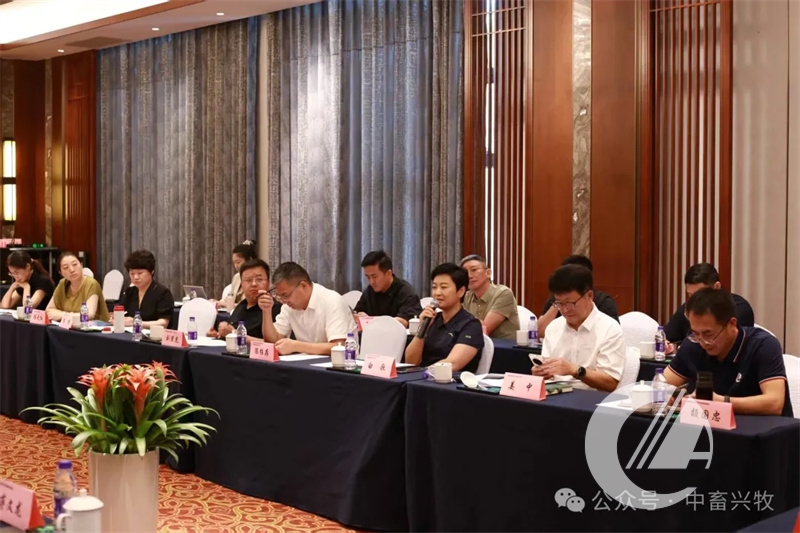 1277�Ǽʵ���(�й���)�ٷ���Ϸ��ַ