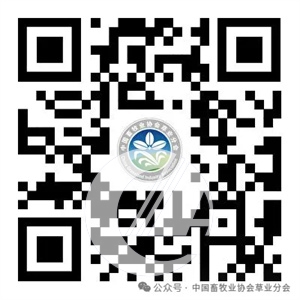 1277�Ǽʵ���(�й���)�ٷ���Ϸ��ַ