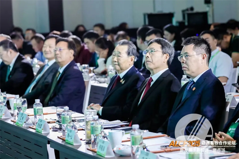 1277�Ǽʵ���(�й���)�ٷ���Ϸ��ַ