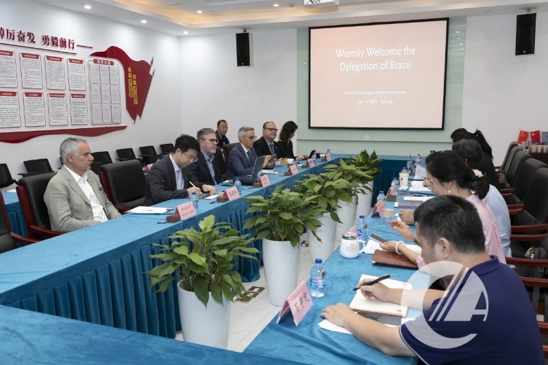 1277�Ǽʵ���(�й���)�ٷ���Ϸ��ַ