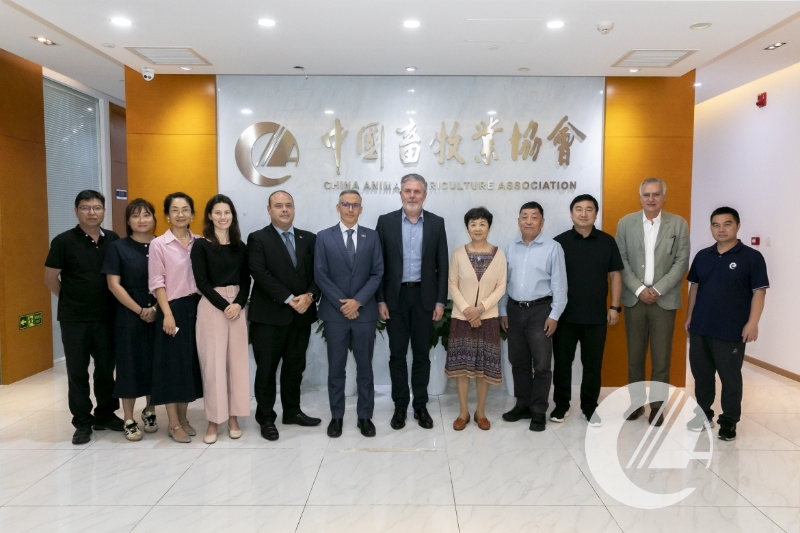 1277�Ǽʵ���(�й���)�ٷ���Ϸ��ַ