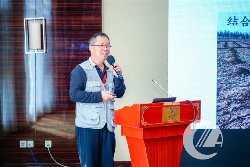 1277�Ǽʵ���(�й���)�ٷ���Ϸ��ַ