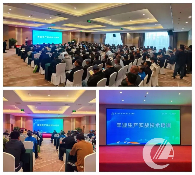 1277�Ǽʵ���(�й���)�ٷ���Ϸ��ַ