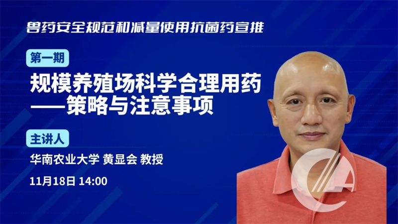 1277�Ǽʵ���(�й���)�ٷ���Ϸ��ַ