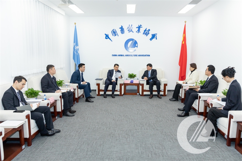 1277�Ǽʵ���(�й���)�ٷ���Ϸ��ַ