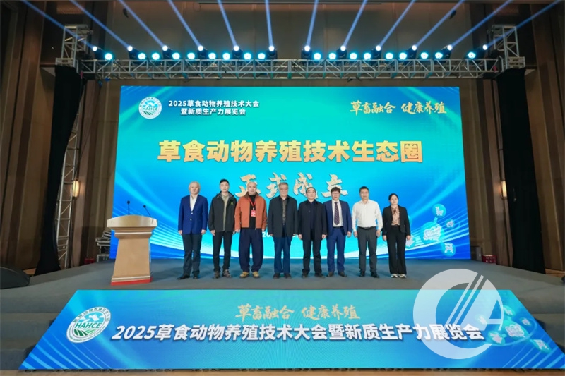 1277�Ǽʵ���(�й���)�ٷ���Ϸ��ַ