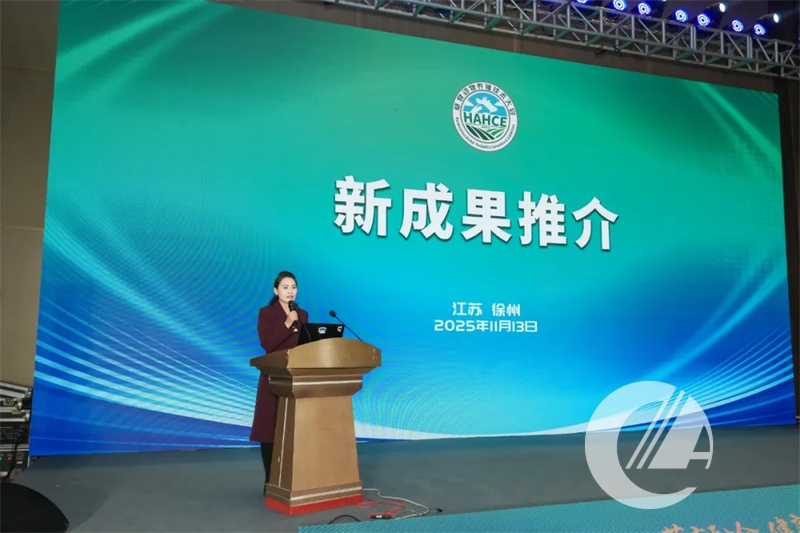 1277�Ǽʵ���(�й���)�ٷ���Ϸ��ַ