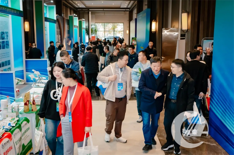 1277�Ǽʵ���(�й���)�ٷ���Ϸ��ַ