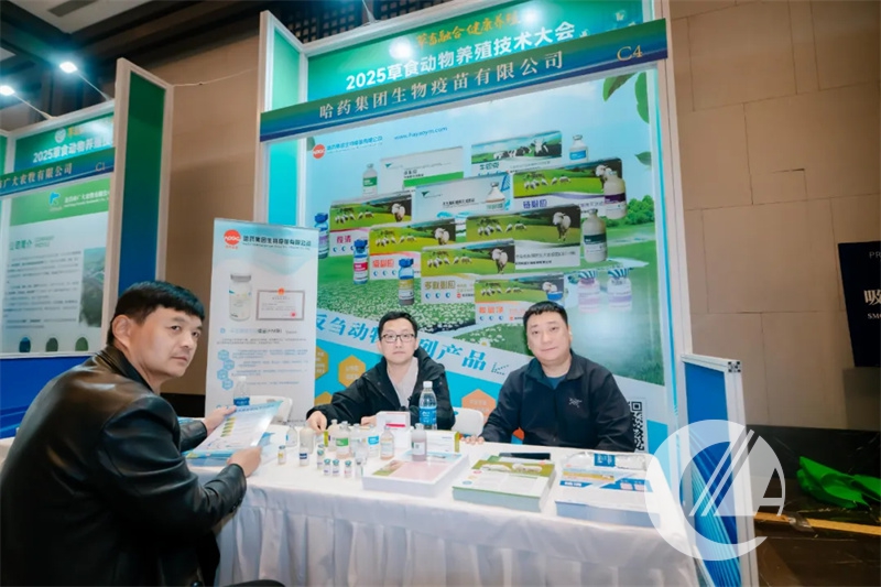 1277�Ǽʵ���(�й���)�ٷ���Ϸ��ַ