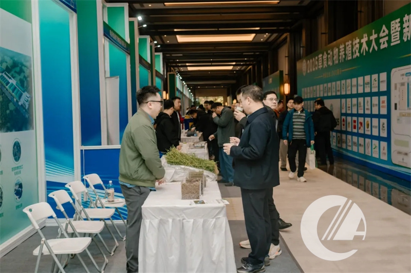 1277�Ǽʵ���(�й���)�ٷ���Ϸ��ַ