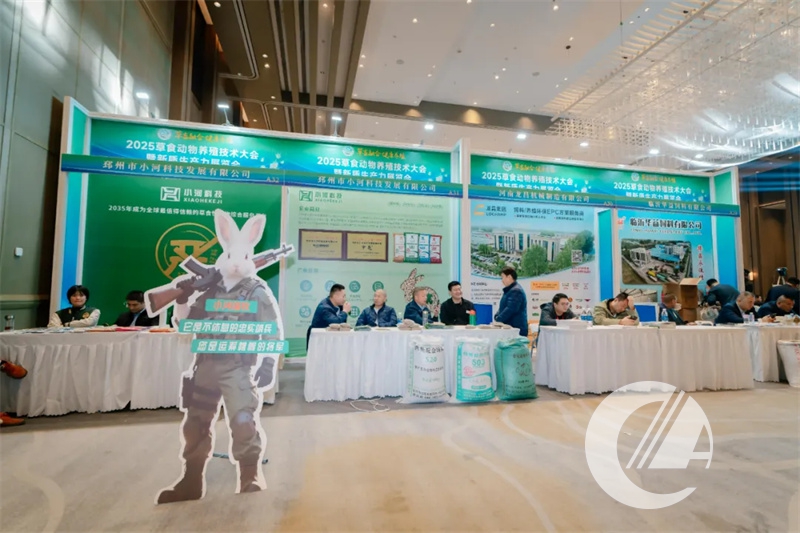 1277�Ǽʵ���(�й���)�ٷ���Ϸ��ַ