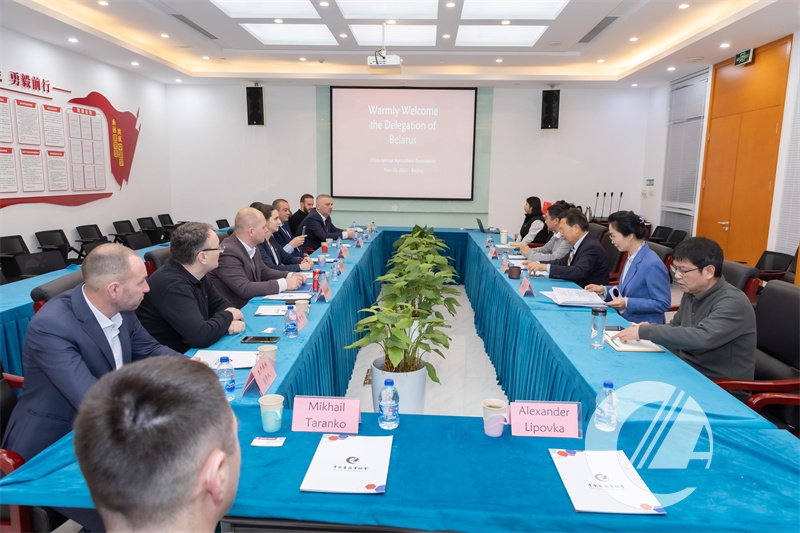 1277�Ǽʵ���(�й���)�ٷ���Ϸ��ַ