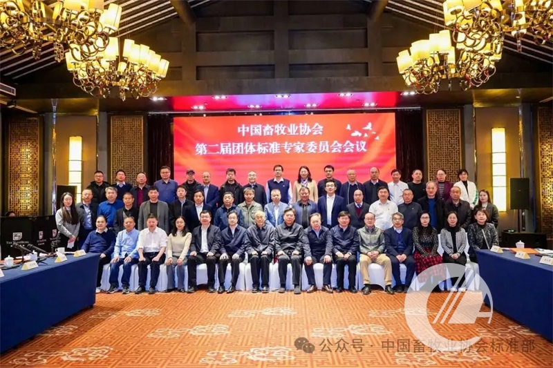 1277�Ǽʵ���(�й���)�ٷ���Ϸ��ַ