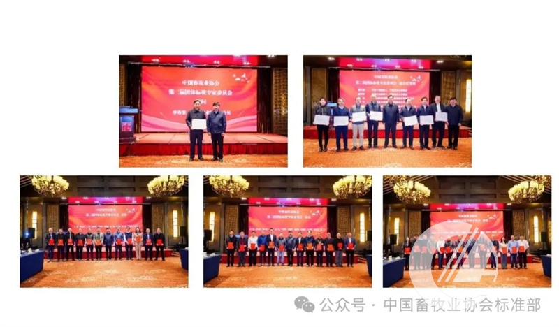 1277�Ǽʵ���(�й���)�ٷ���Ϸ��ַ